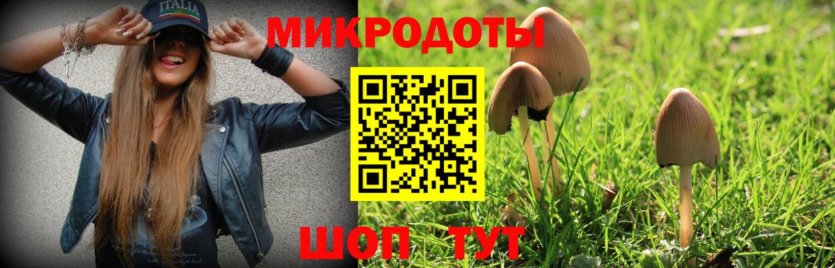 Лабинск  Псилоцибиновые грибы MAGIC MUSHROOMS  Вход с VPN 